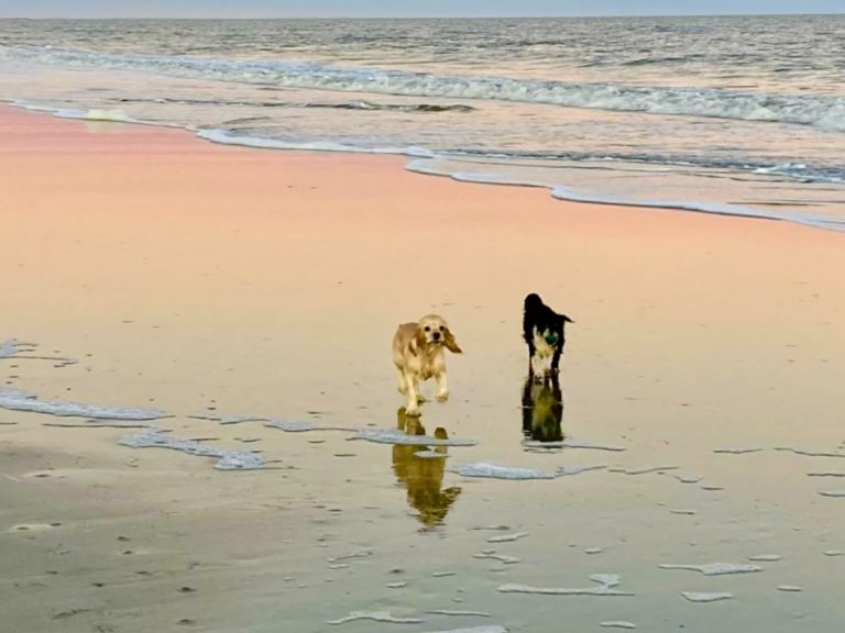 Miller Long Term Rentals Hilton Head, Bluffton/Hardeeville